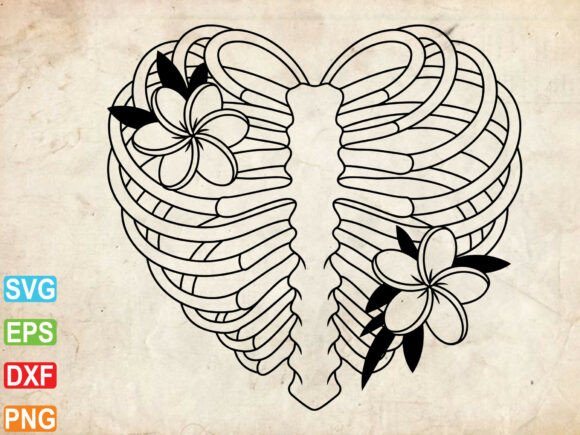 Floral Skeleton Anatomy SVG, Skeleton Review