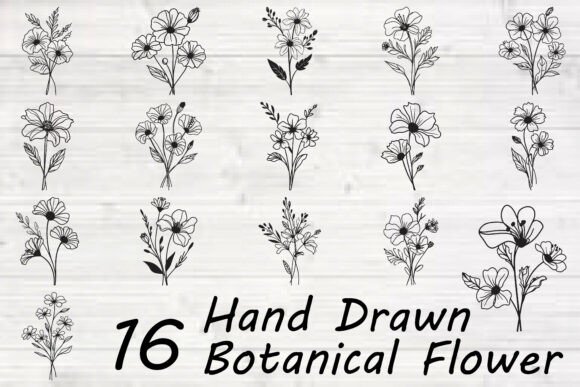 Hand Drawn Botanical Flower Review